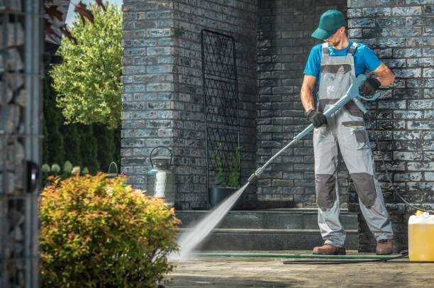 Best Animal Enclosure Cleaning  in Daleville, VA
